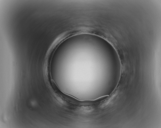 X0000114130101200910081253
