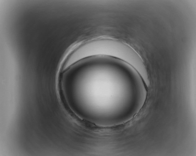 X0000114130104200910081253