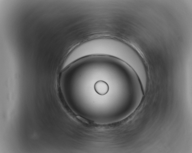 X0000114130105200910081253