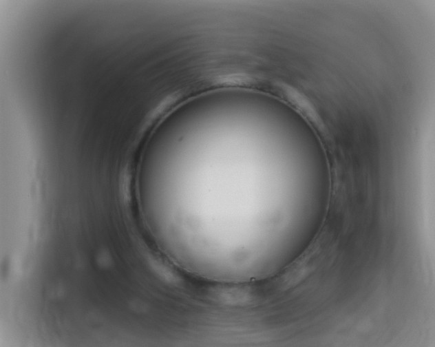 X0000114130106200910081253