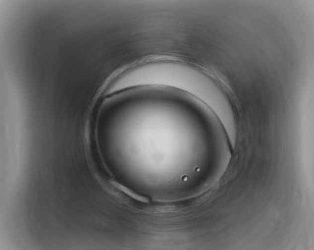 X0000114130108200910081252