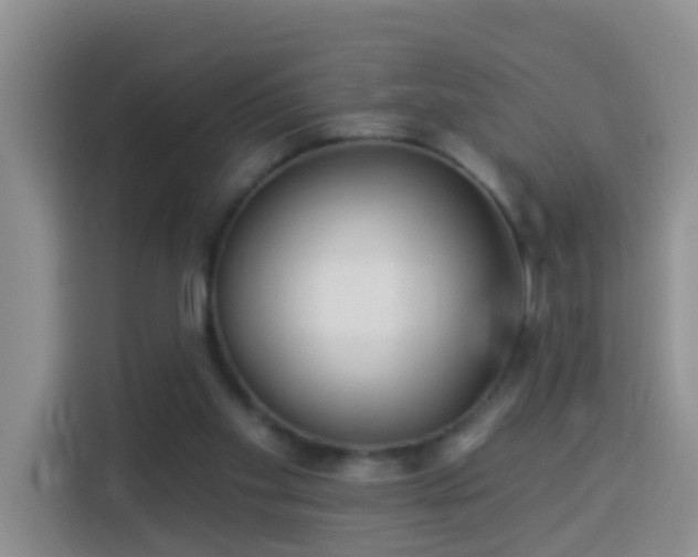 X0000114130109200910081252