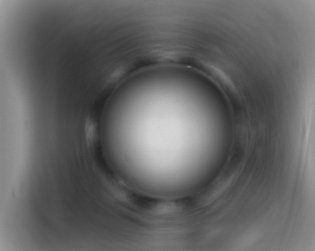 X0000114130123200910081252