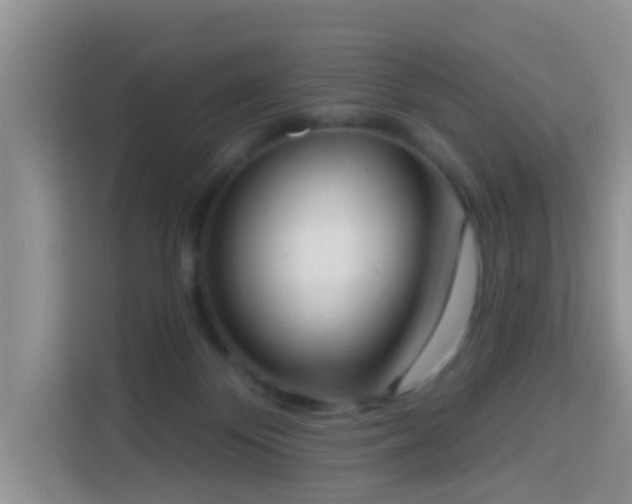 X0000114130124200910081252