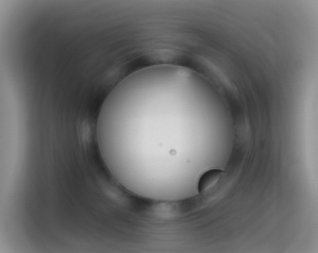 X0000114130126200910081252
