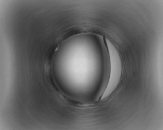 X0000114130129200910081252
