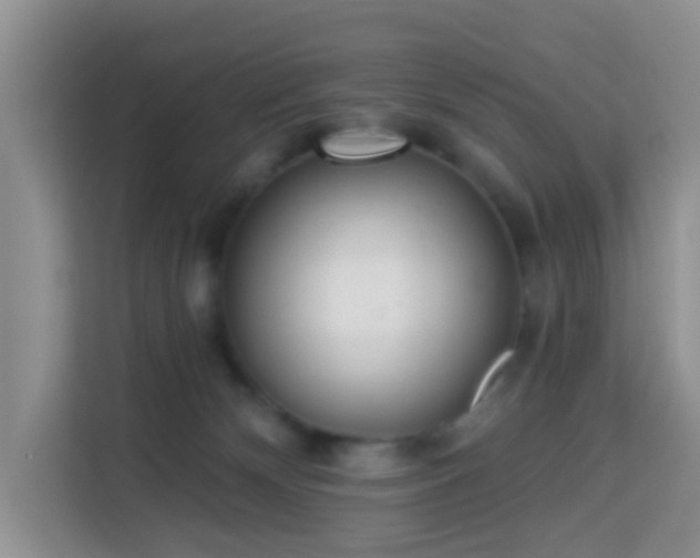 X0000114130132200910081252