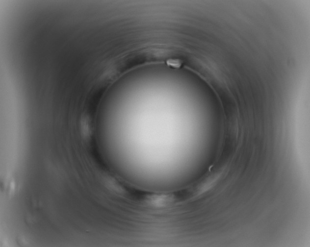 X0000114130135200910081252