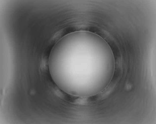 X0000114130138200910081252