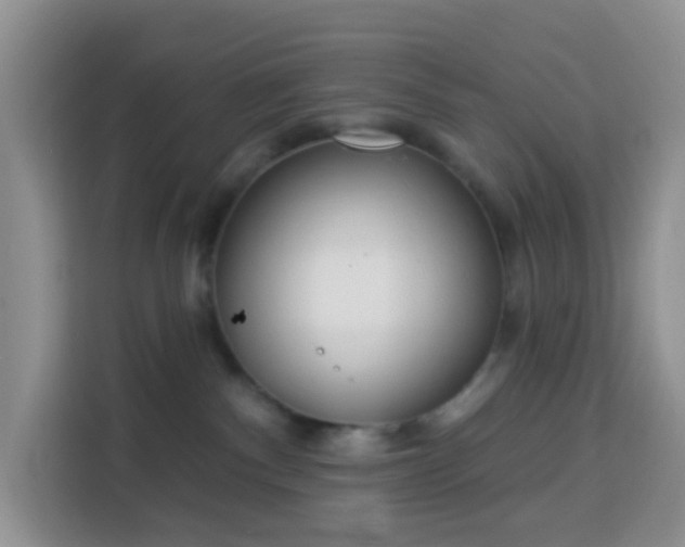 X0000114130140200910081252
