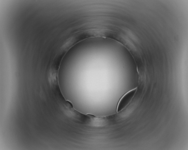 X0000114130141200910081252
