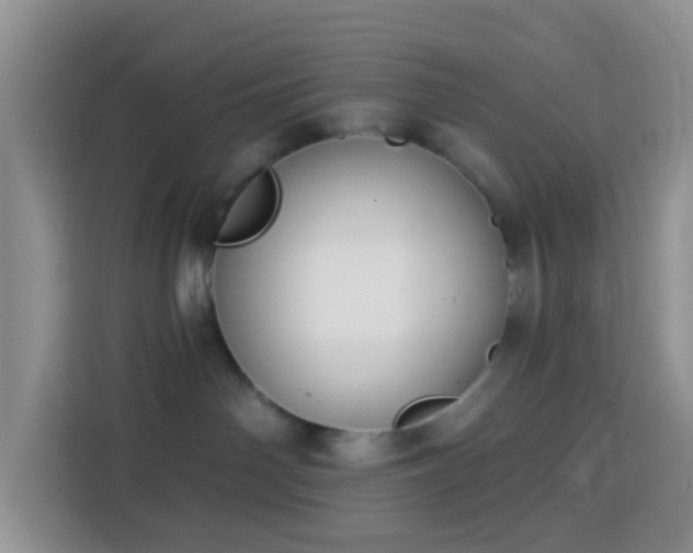X0000114130142200910081252