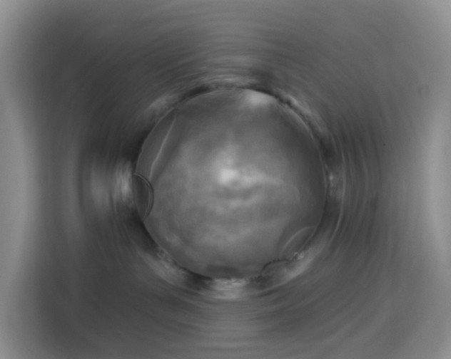 X0000114130143200910081252