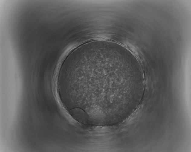 X0000114130145200910081251