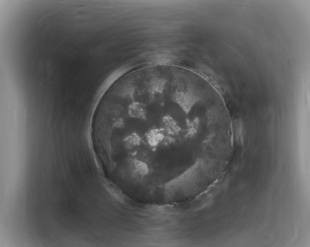 X0000114130147200910081251