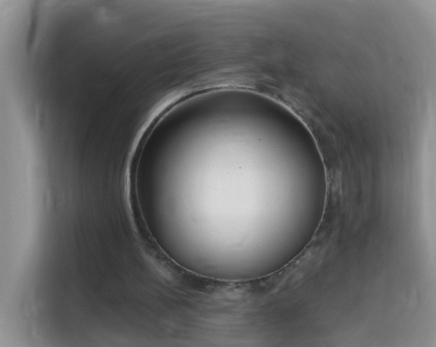 X0000114130148200910081251