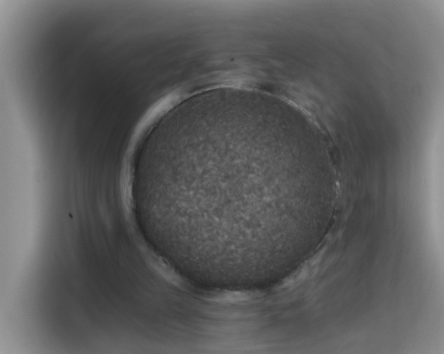 X0000114130149200910081251