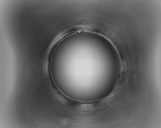 X0000114130150200910081251