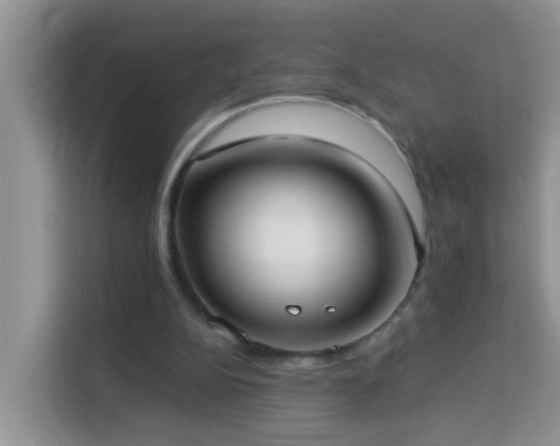 X0000114130152200910081251
