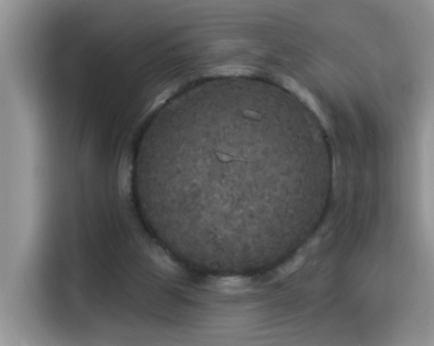 X0000114130153200910081251