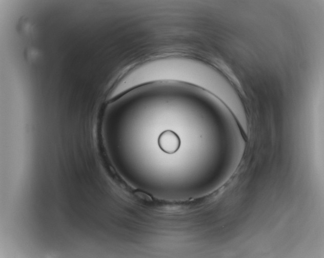 X0000114130154200910081251