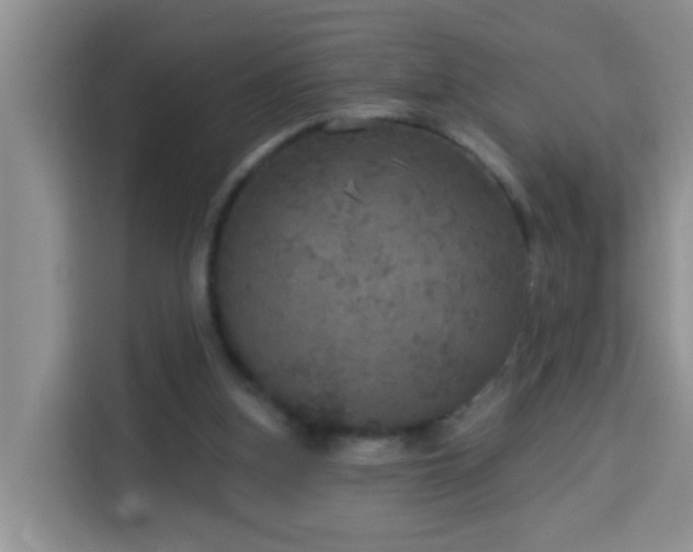 X0000114130155200910081252