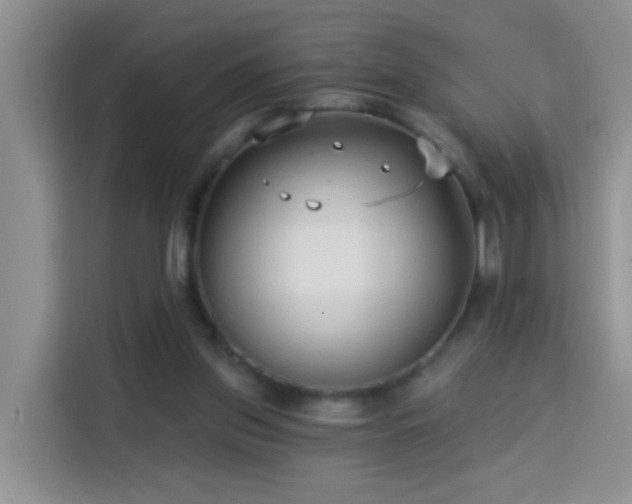 X0000114130157200910081252