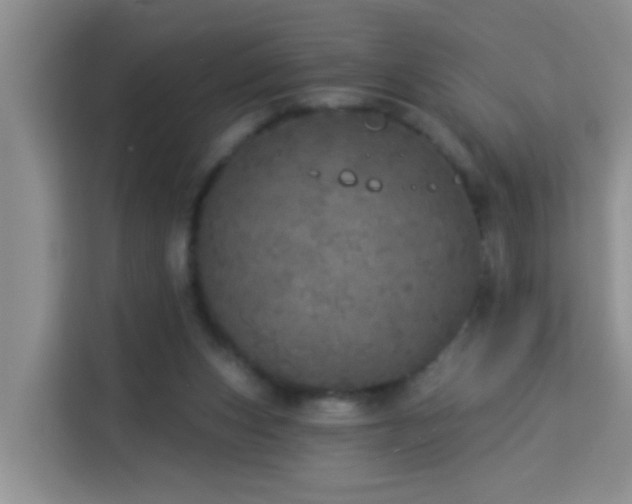 X0000114130159200910081252
