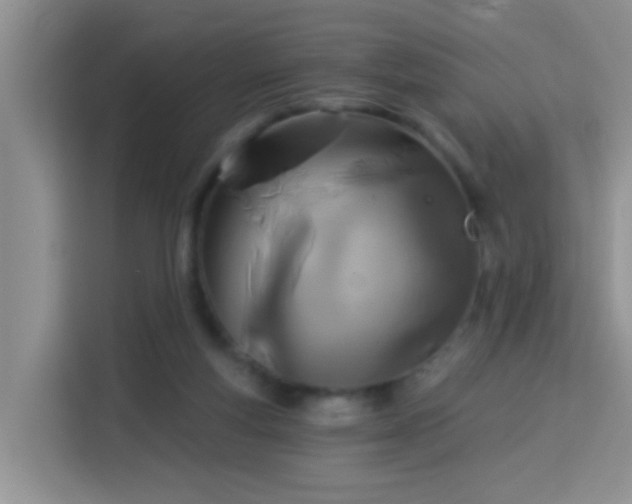 X0000114130163200910081252