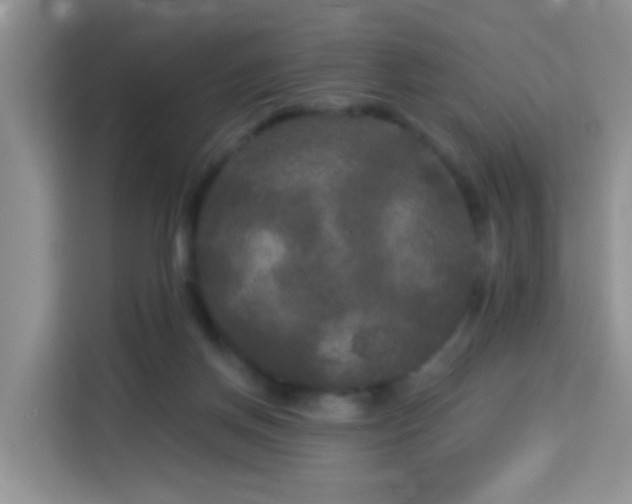 X0000114130166200910081252