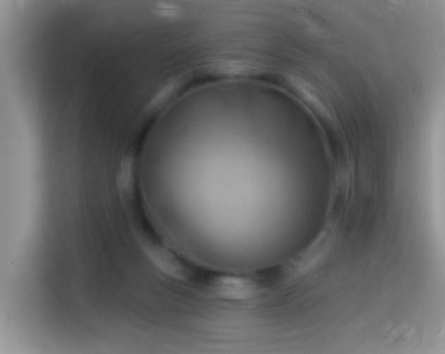 X0000114130167200910081252