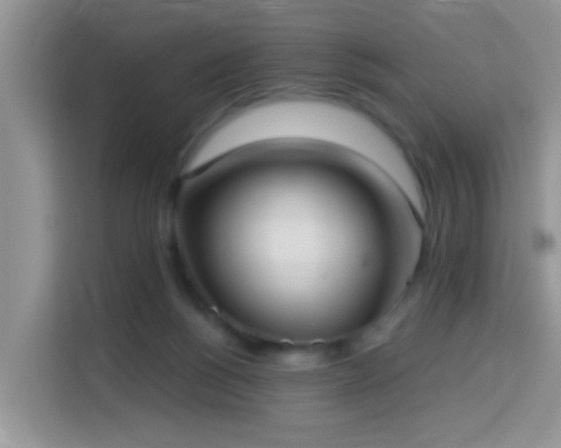 X0000114130168200910081252
