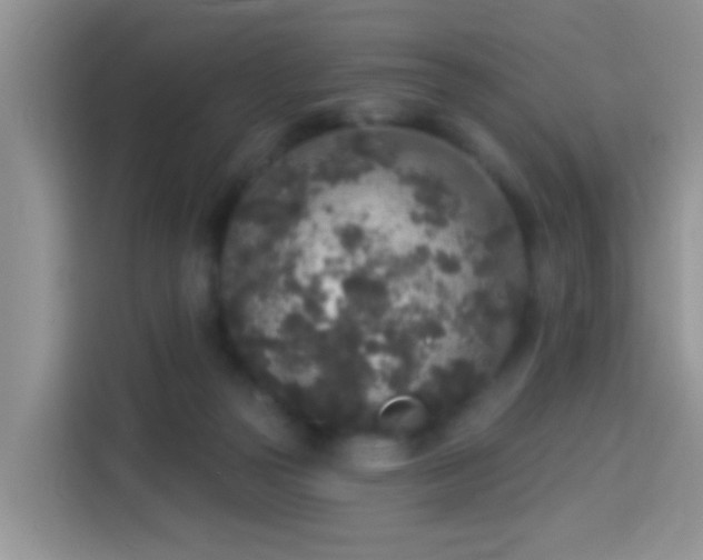 X0000114130169200910081252