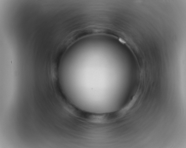 X0000114130170200910081252