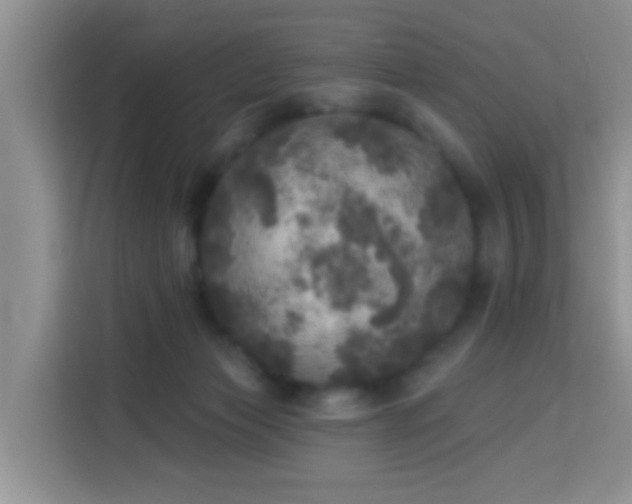X0000114130173200910081252