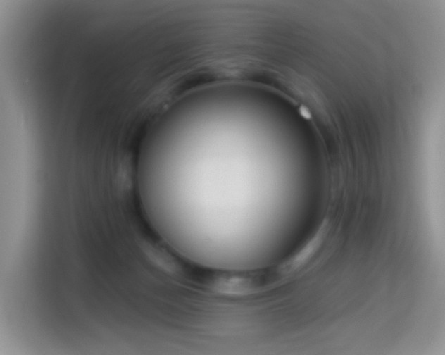 X0000114130174200910081252
