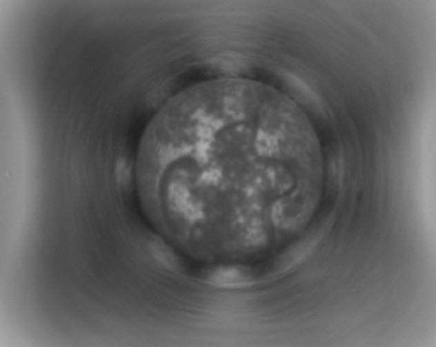 X0000114130177200910081252