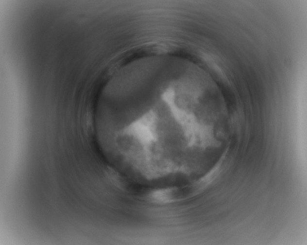 X0000114130178200910081252