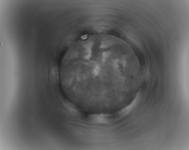 X0000114130182200910081252