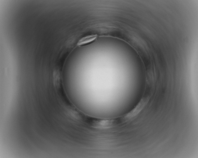 X0000114130184200910081252
