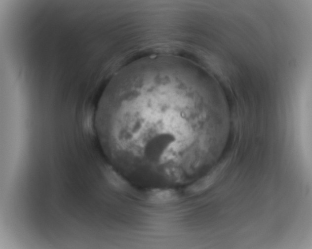 X0000114130185200910081252