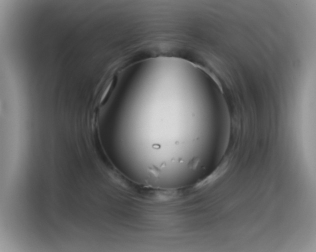 X0000114130188200910081252