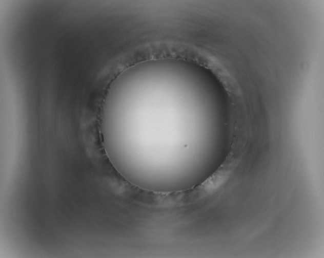 X0000114130192200910081252