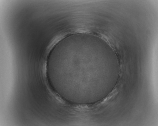 X0000114130194200910081251
