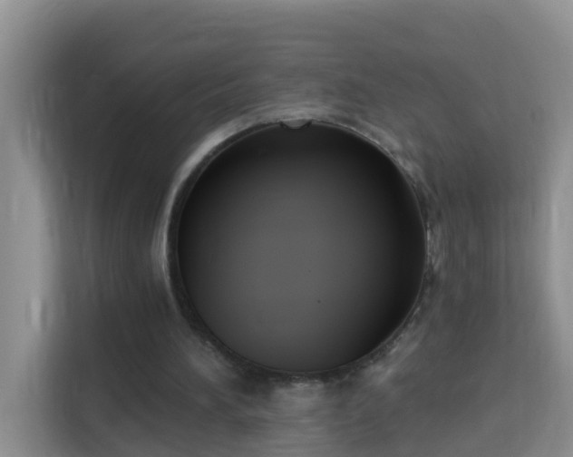 X0000114130196200910081251