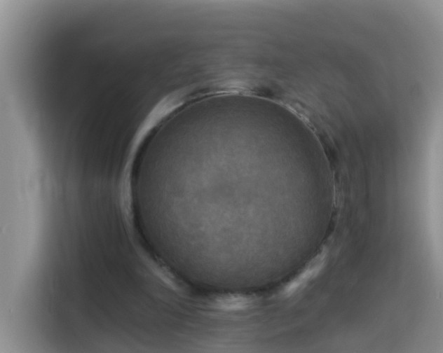 X0000114130198200910081251