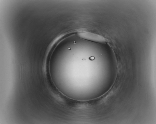 X0000114130200200910081251