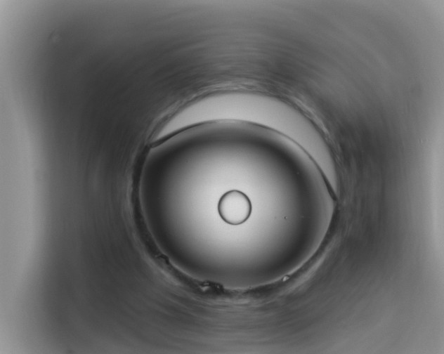 X0000114130201200910081251