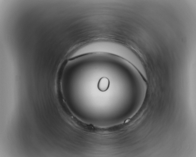 X0000114130203200910081251