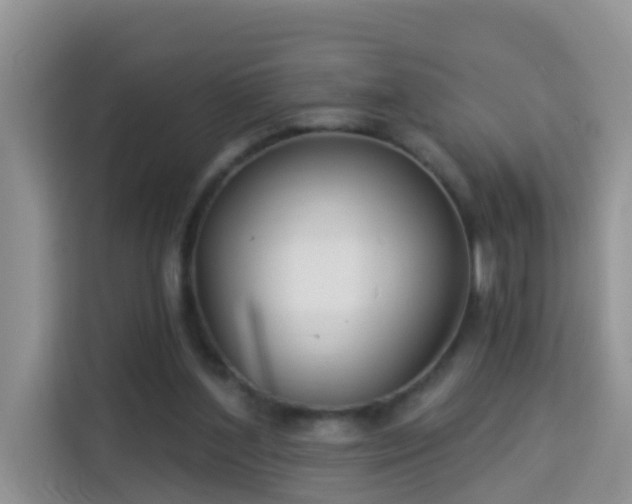 X0000114130204200910081251